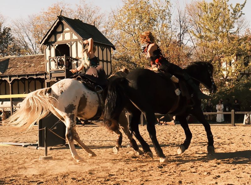 Jousting Tournaments That Take Your Breath Away