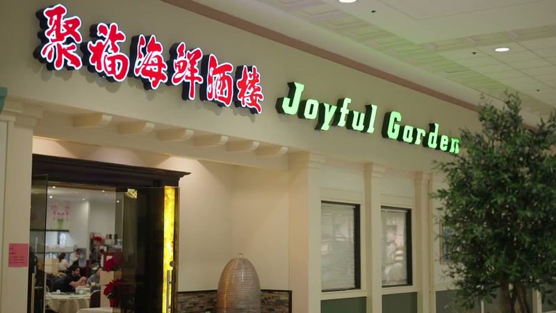 Joyful Garden