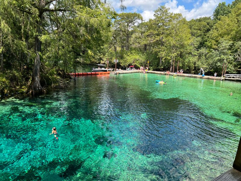 Fanning Springs State Park – Fanning Springs, FL