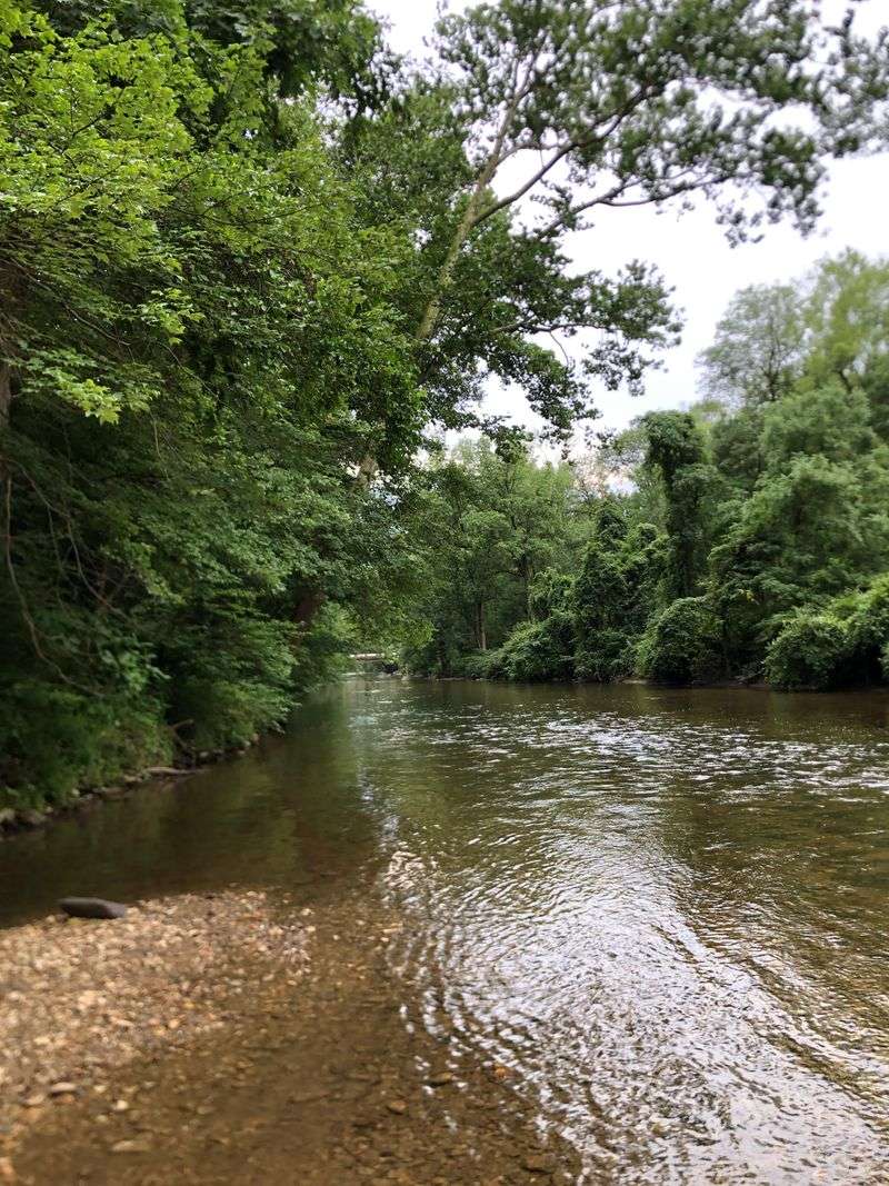 Brandywine River (Chester County)