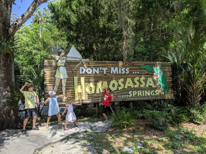 Junior Ranger Fun For Kids