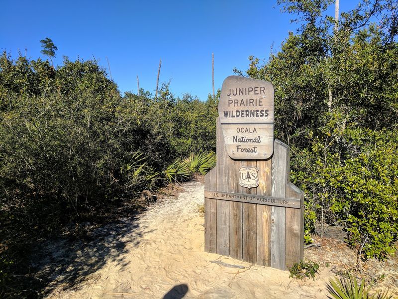 Juniper Prairie Wilderness Trail, Ocala National Forest