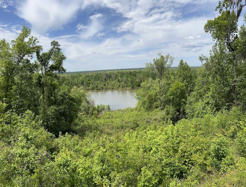 Torreya State Park Trail