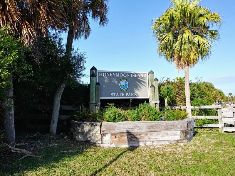Dunedin & Honeymoon Island – Walkable Town + Wild Beach
