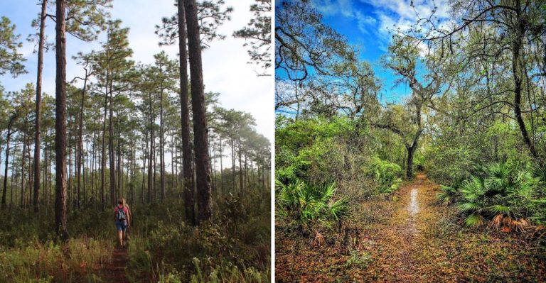 Just 90 Minutes From Orlando And Tampa, This Florida Destination Offers Wildlife And A Scenic 47-Mile Bike Trail