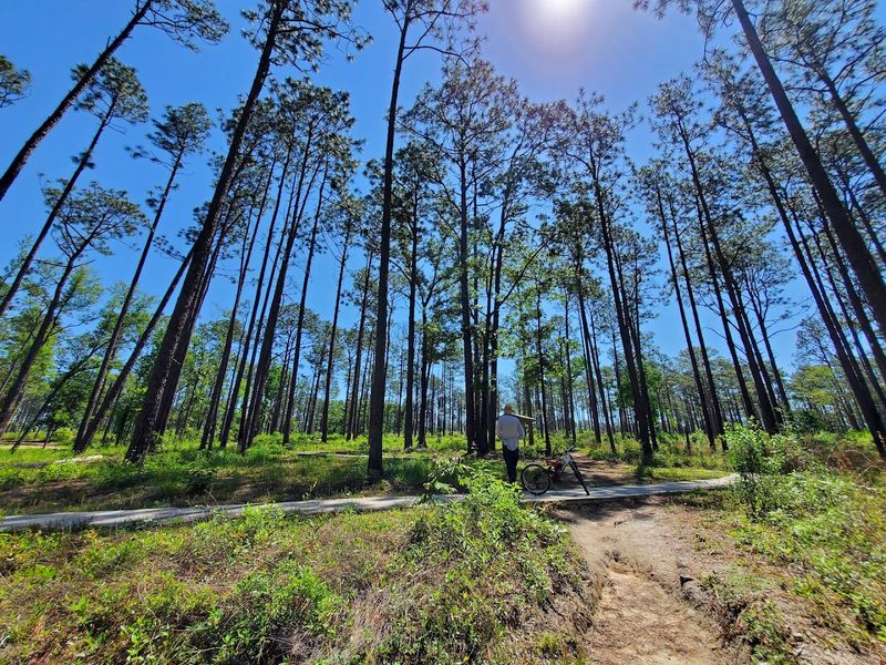 Just Three Miles Off I-10 Makes It A Perfect Road Trip Stop