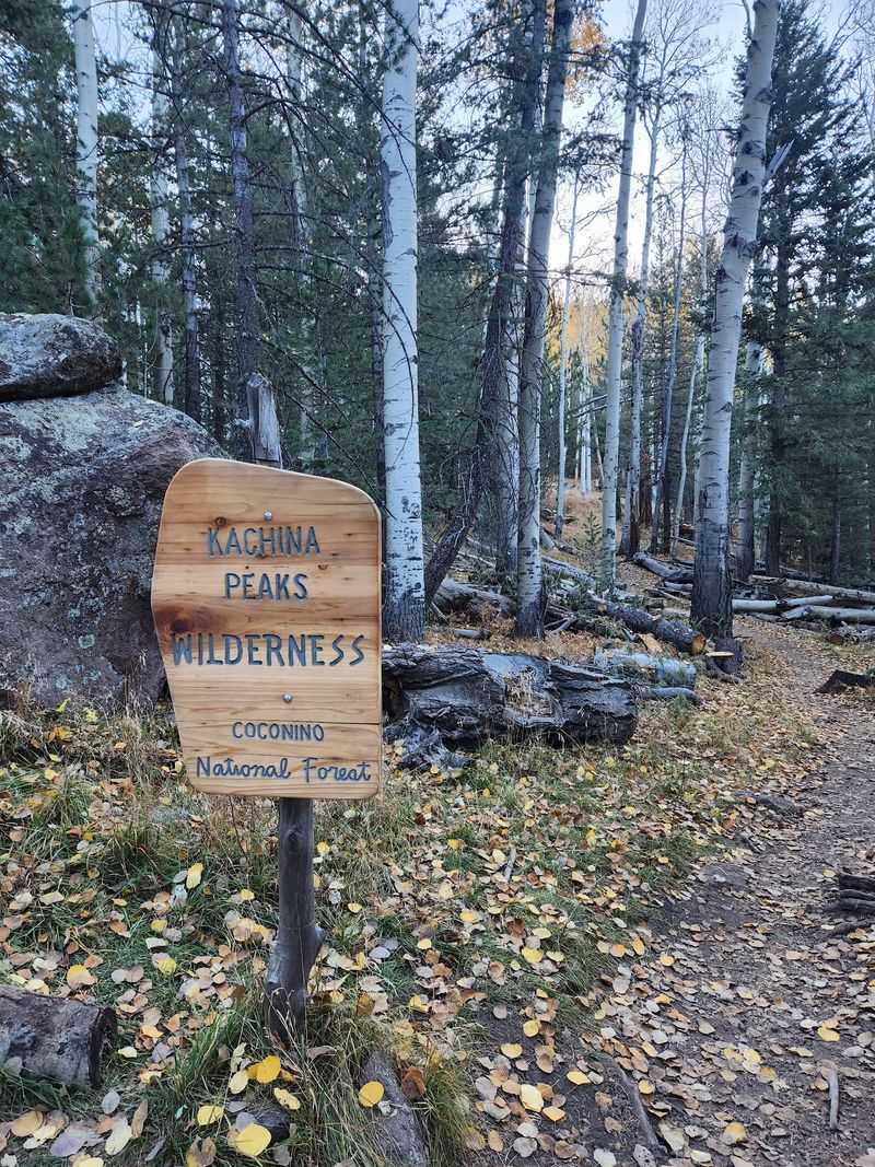 Kachina Trail, Flagstaff, AZ