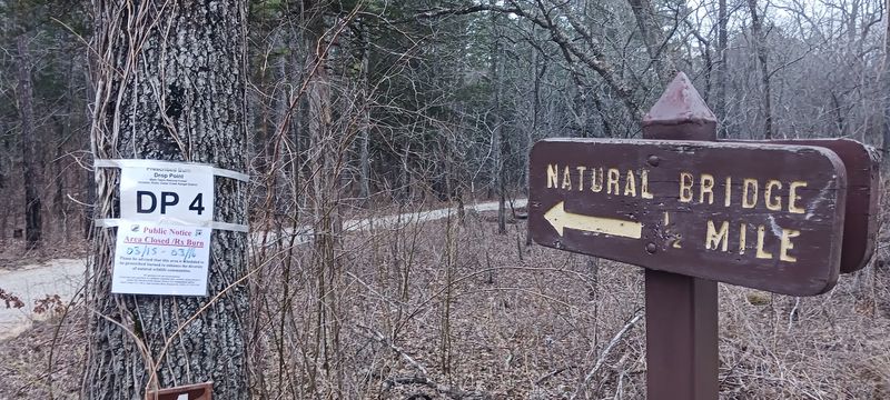 Kaintuck Hollow Natural Bridge Trail