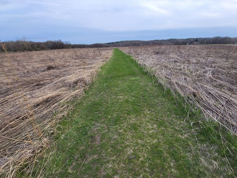 Kalamazoo River Valley Trail, Kalamazoo