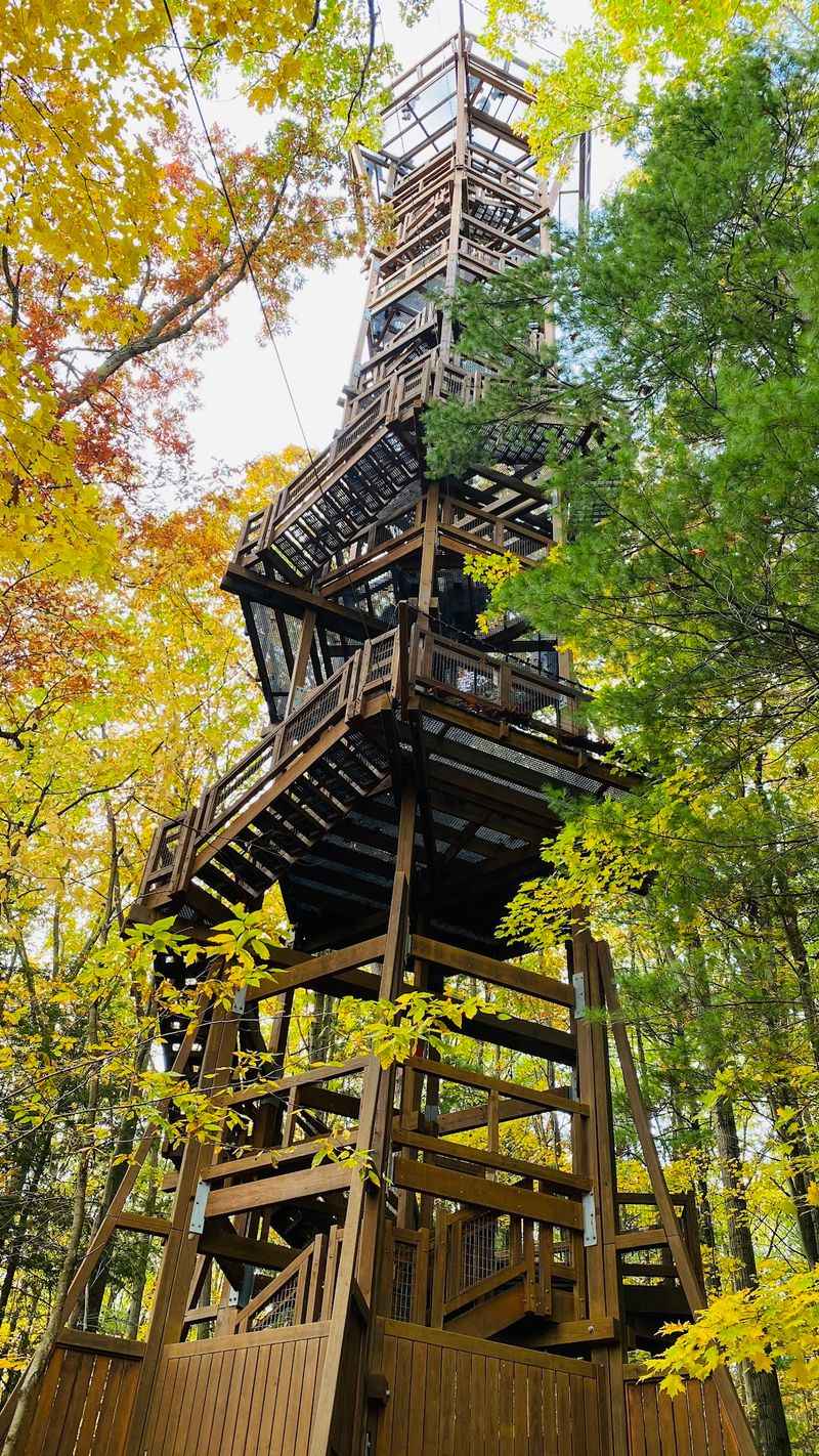 Kalberer Emergent Tower At Holden Arboretum, Kirtland
