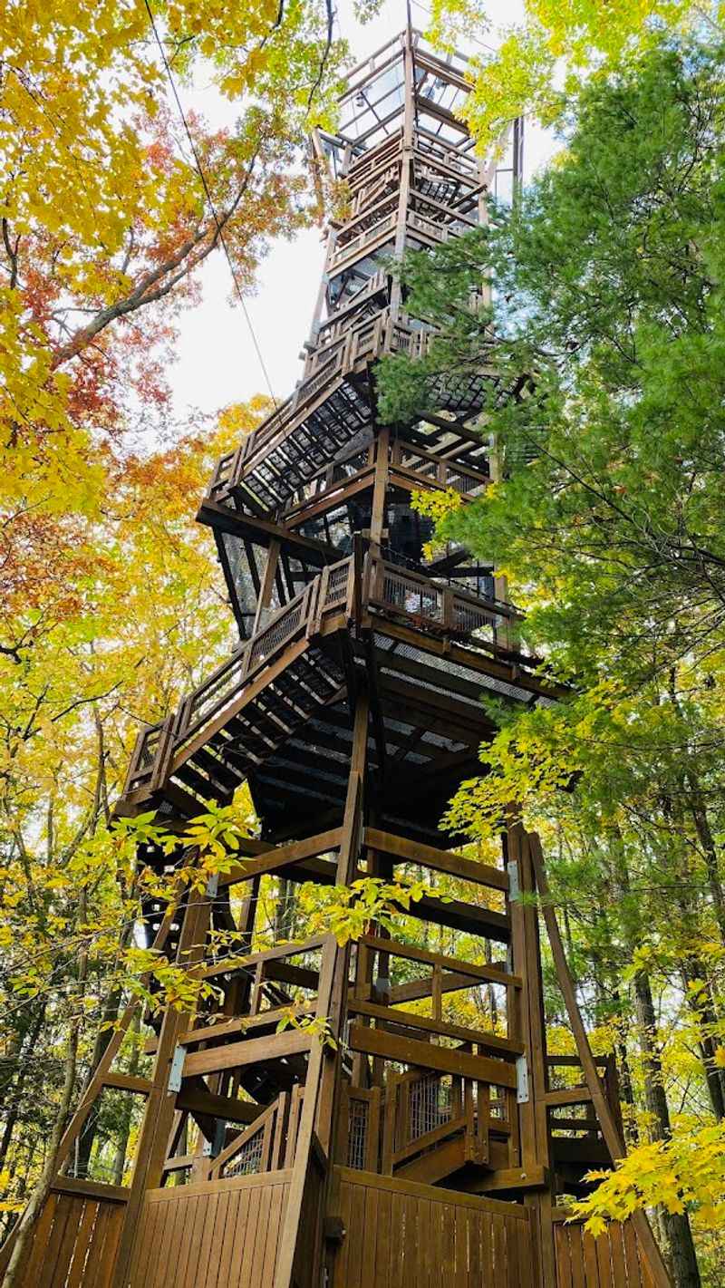 Kalberer Emergent Tower at The Holden Arboretum, Kirtland, Ohio