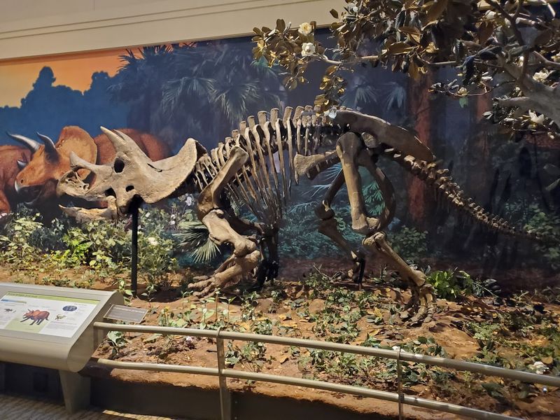 Carnegie Museum of Natural History, Pittsburgh, Pennsylvania