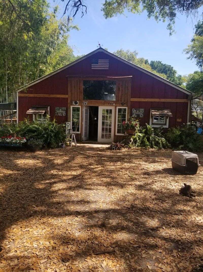 Knowledgeable Guides Who Elevate Every Moment