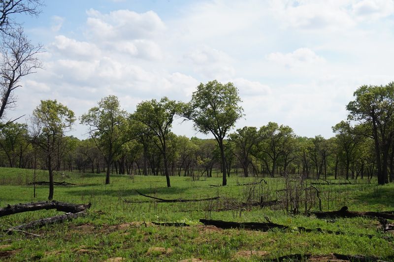 Kankakee Sands-Illinois