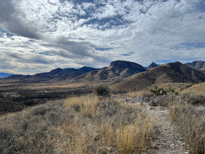 Kartchner Caverns State Park, Benson