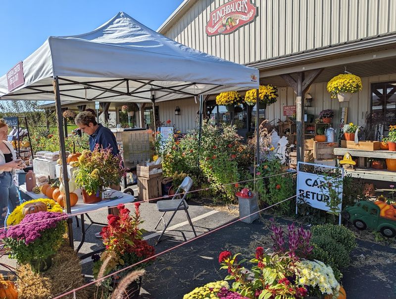 Flinchbaugh's Orchard And Farm Market, Hellam