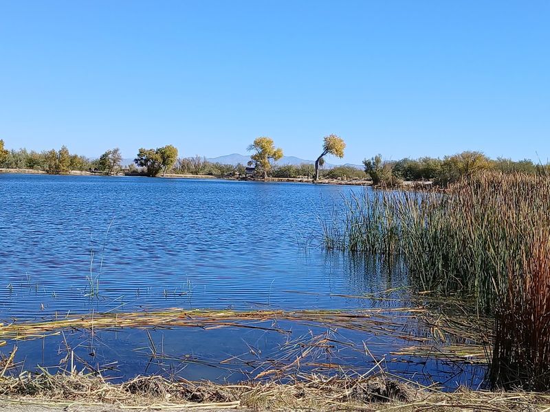 Kayak At Dankworth Pond Near Safford, Arizona