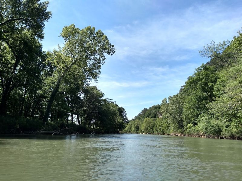 Farmers Market Finds And Local Flavors