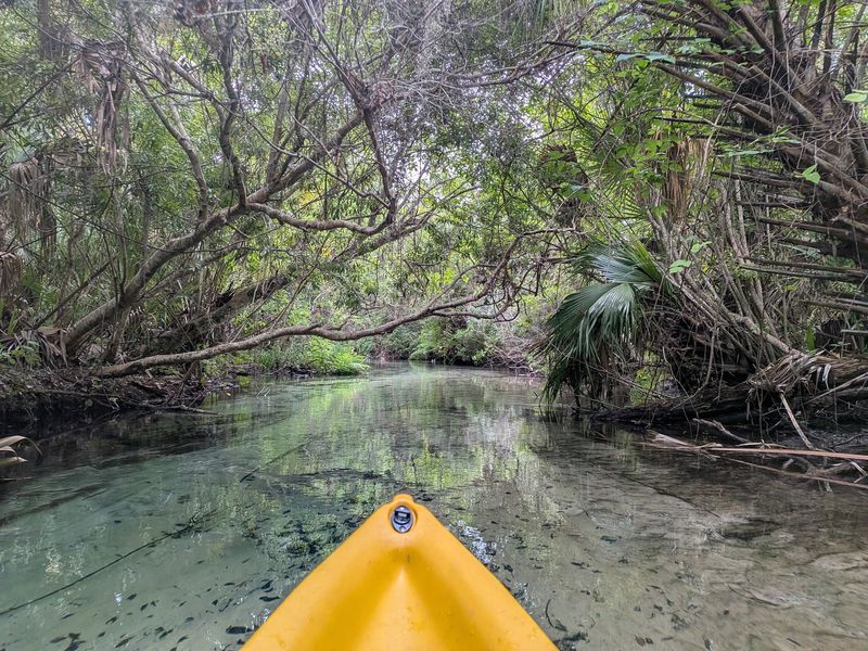 Kayak Rentals For First-Timers