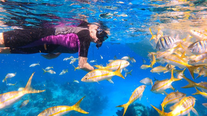 Snorkel Shipwrecks And Reef Systems In The Florida Keys