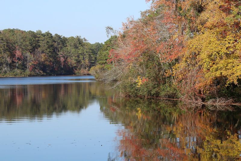 Kayak and Canoe Rentals At The Boathouse