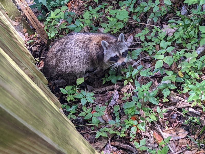 A Reservation System That Actually Makes The Park Better