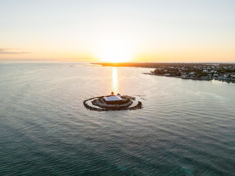 Pet-Friendly Paradise For Your Furry Friends