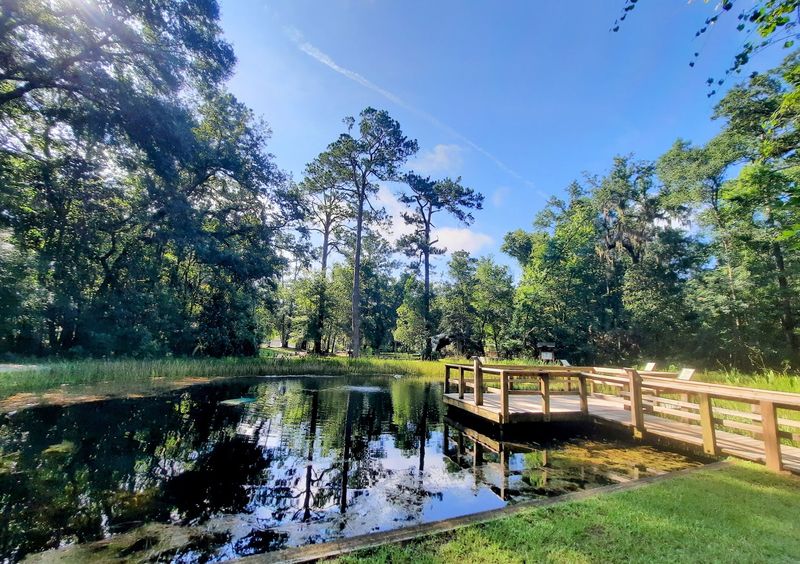 Kayaking And Paddleboarding On Black Creek
