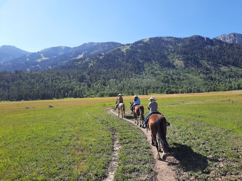 Horseback Riding Through Jackson Hole