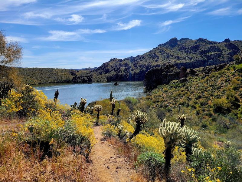The Butcher Jones Trail: A Hike Worth Every Step