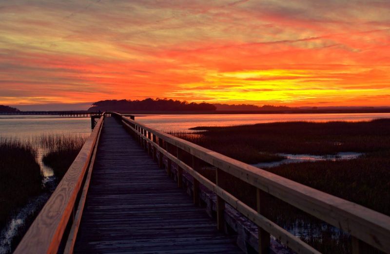 Kayaking And Paddleboarding Through Living Marshes