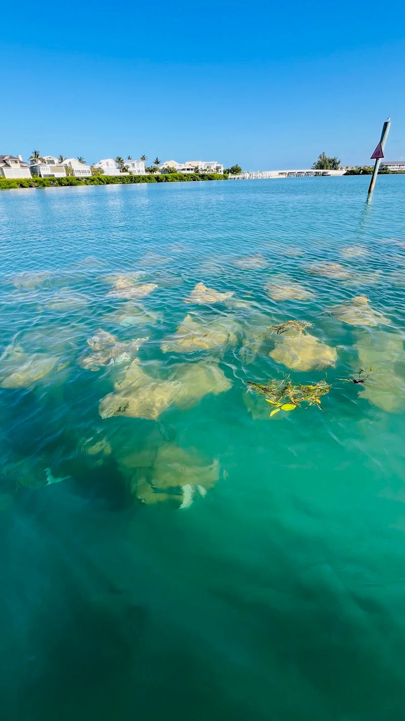 Kayaking And Paddling Paradise