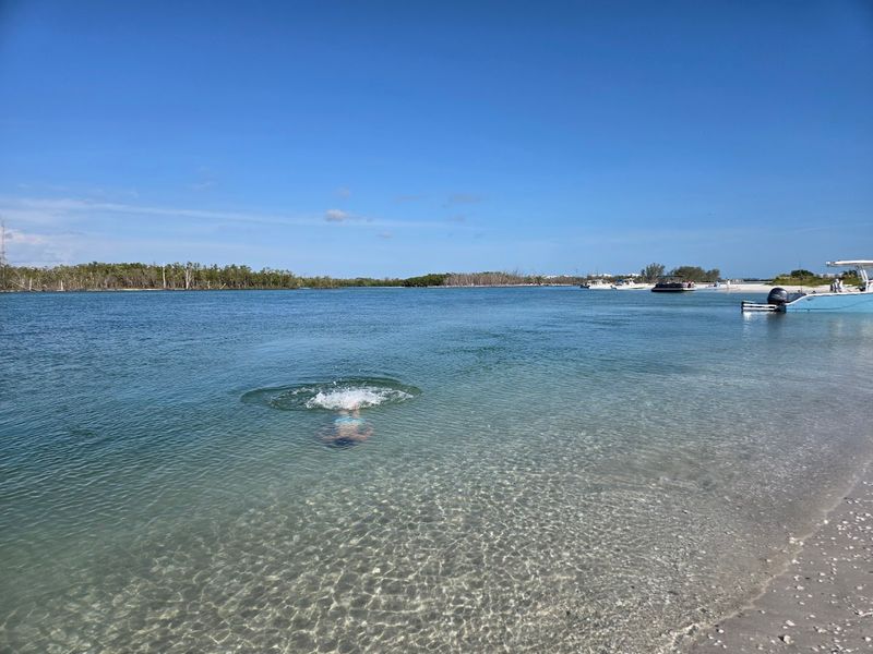 Pet Friendly And Practically Perfect For A Beach Day