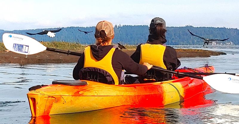 Kayaking Or Paddleboarding On Hood Canal
