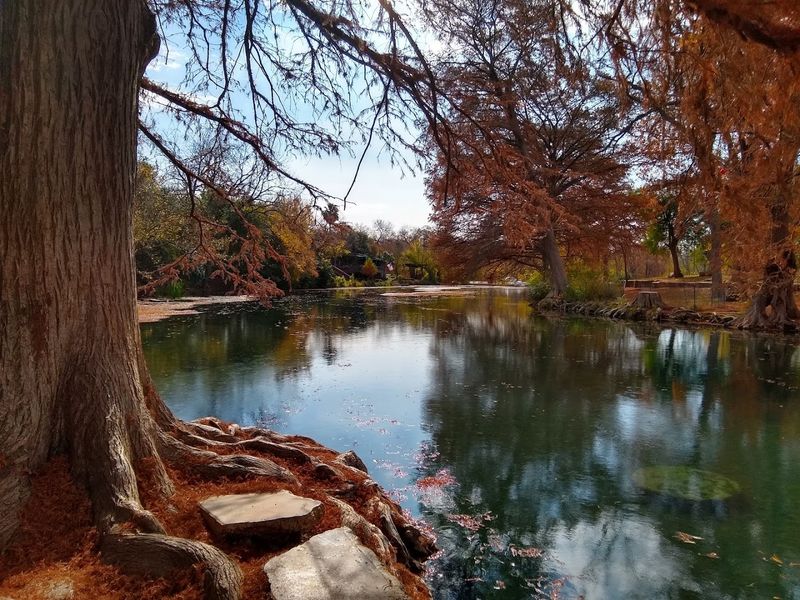 Nature's Best Supporting Cast