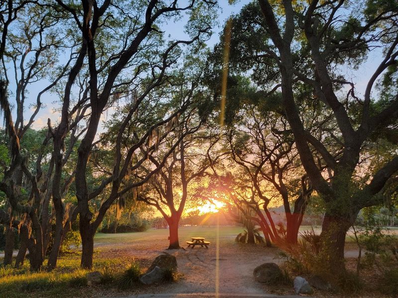 Stunning Gulf Coast Sunsets