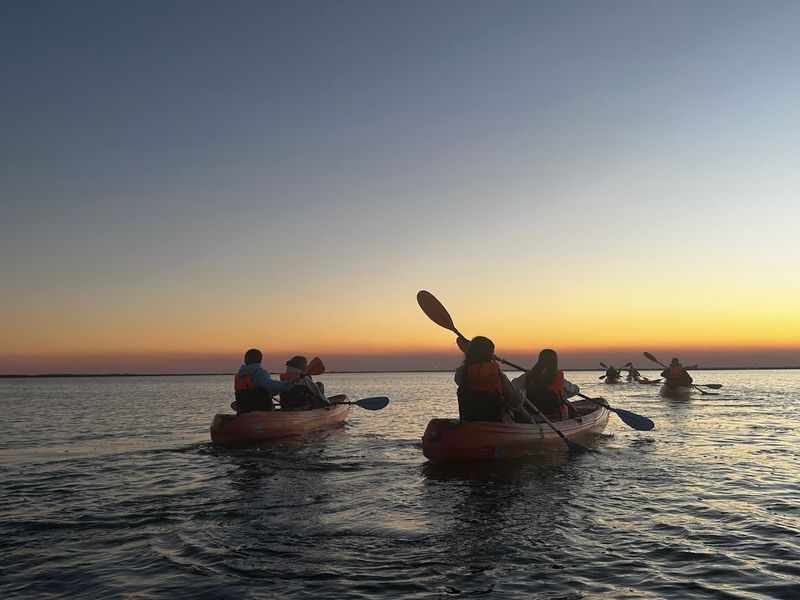 Kayaking Through The Glow Is The Most Popular Way To Experience It
