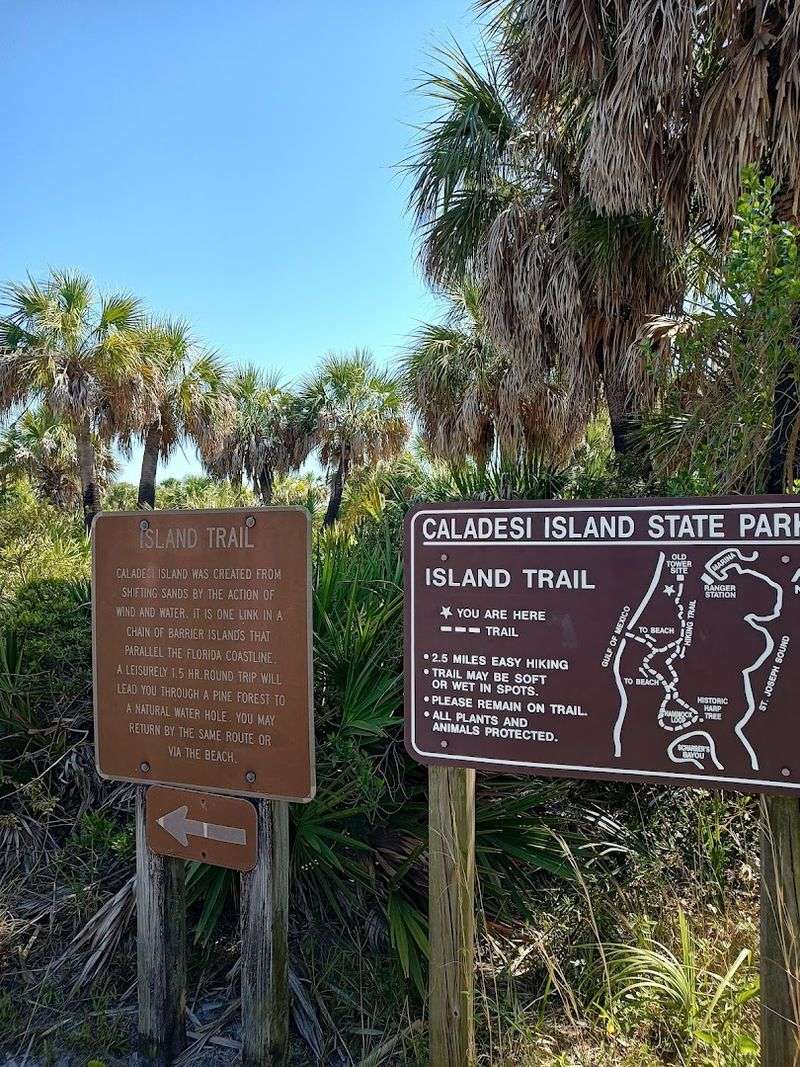 The Nature Trail That Cuts Through The Island