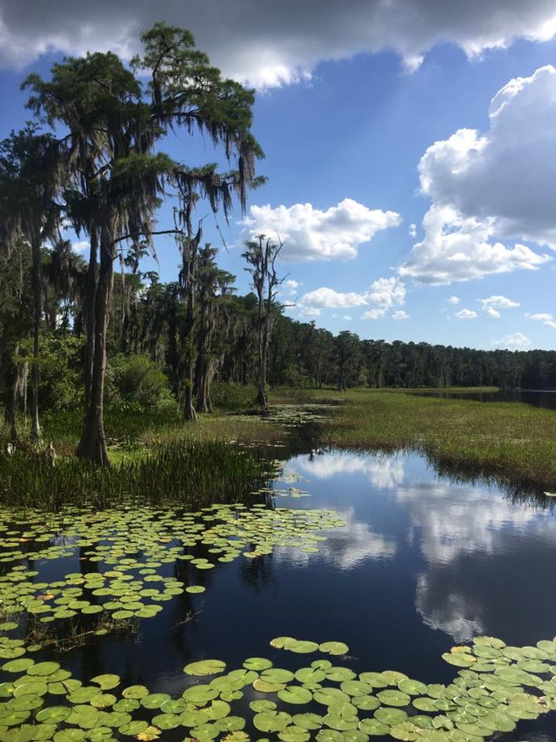 Kayaking and Canoeing Without Hauling Gear