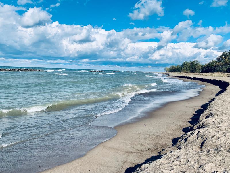 Year-Round Beauty Across All Four Seasons