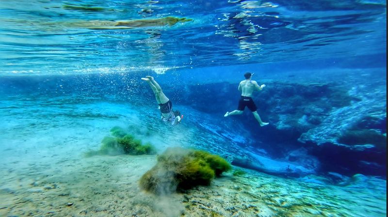 Swimming at the Main Spring Head