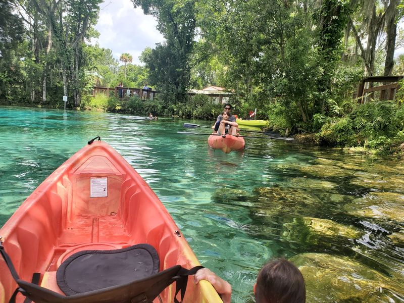 Kayaks And Paddleboards Offer A Quiet Front Row Seat