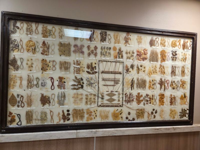 Operating Hours And How To Plan Your Visit