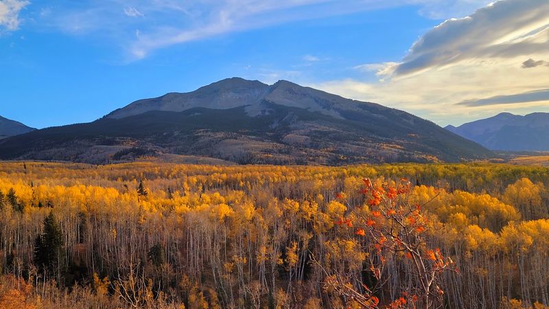 Kebler Pass Road, Crested Butte to CO 133 near Paonia