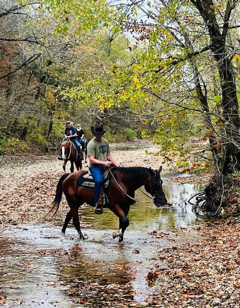 Keels Creek Trail Rides, Eureka Springs