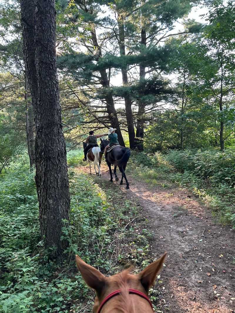Keep An Eye Out For Wildlife