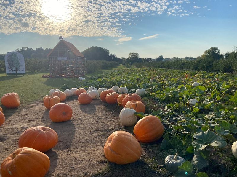 Keep The Extras Optional At Crane Orchards
