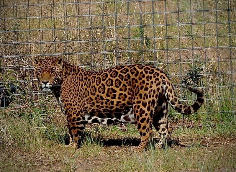 Keep the visitor-animal boundary intact Keep the visitor-animal boundary intact