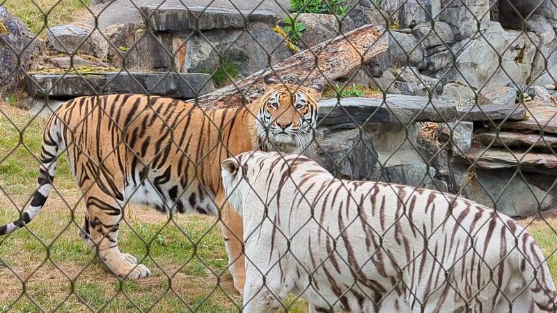 Keeper Talks Every Half Hour