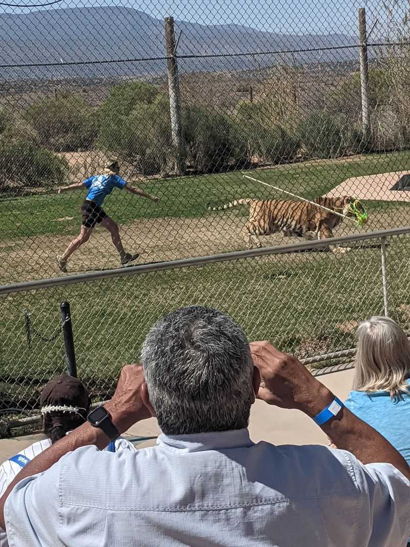 Keepers Who Treat Every Animal Like Family